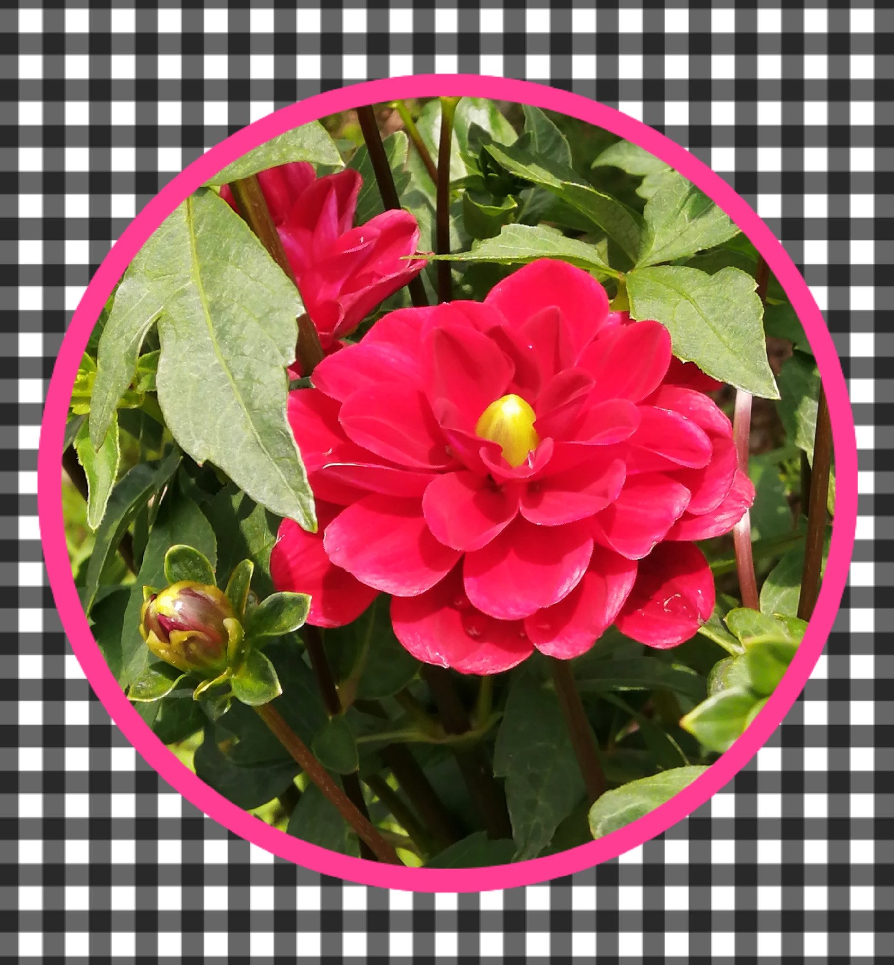 (´・ω・)=3   ﾌｩ〜