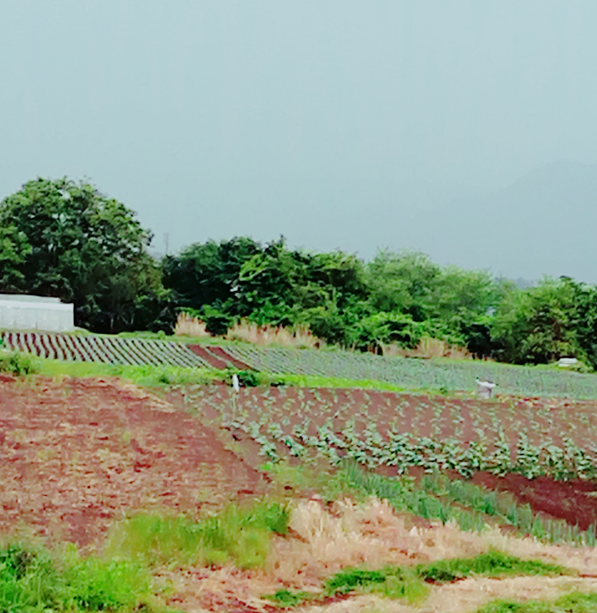 おはようございますっ