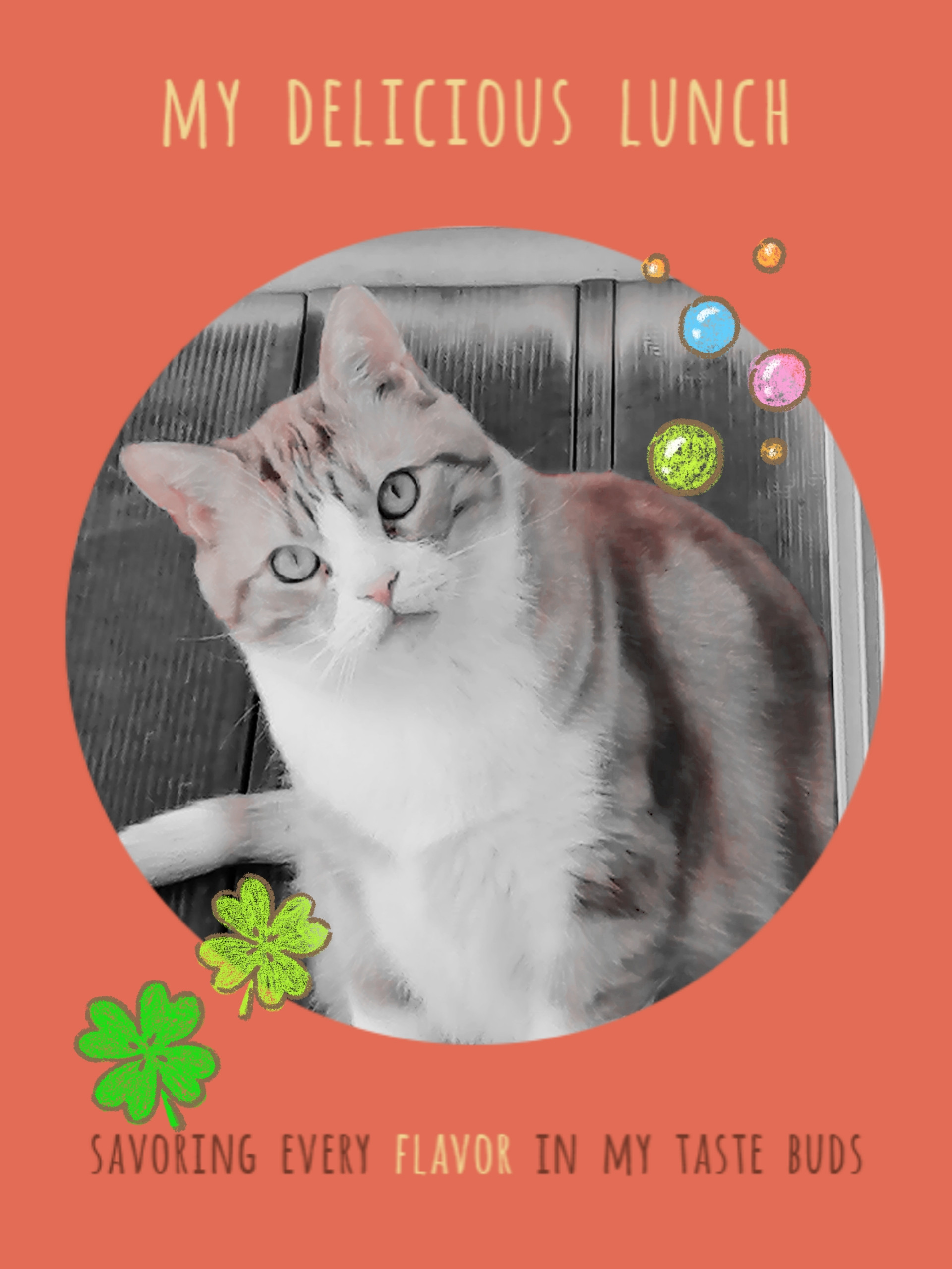 こんにちはヽ(^0^)ノ