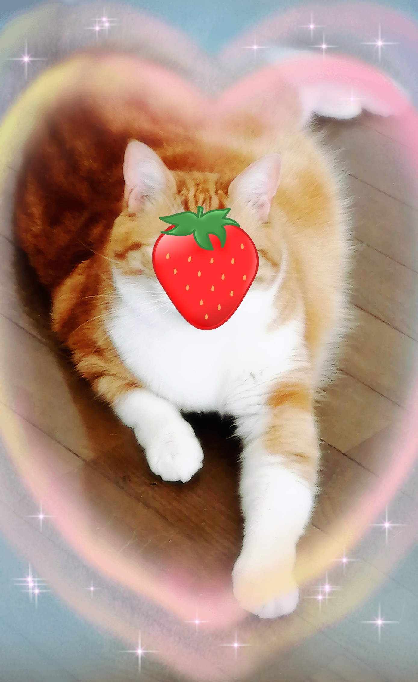 もぅそろそろ･･･