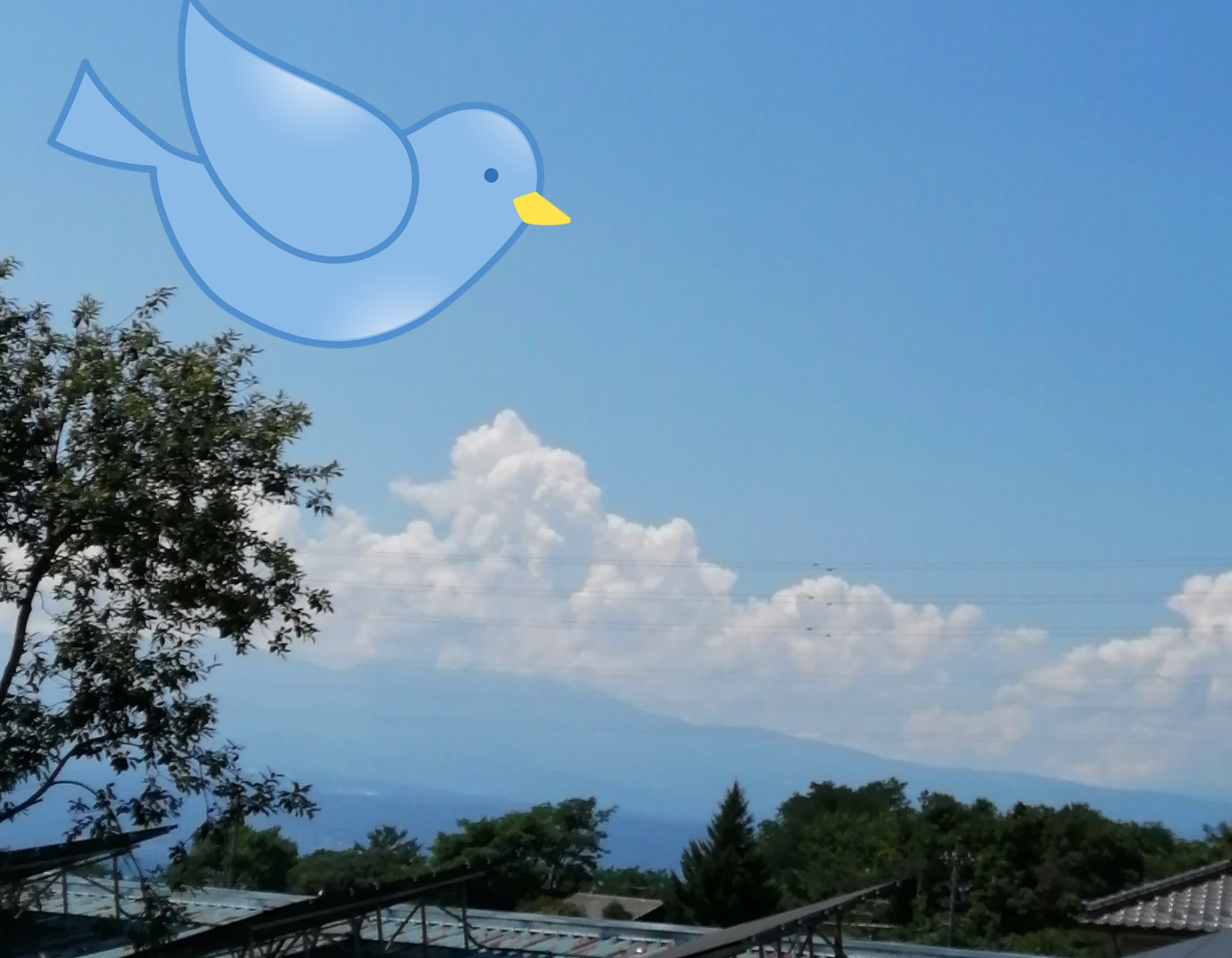 ( ˙?˙ )ﾏﾁﾞｶﾖ