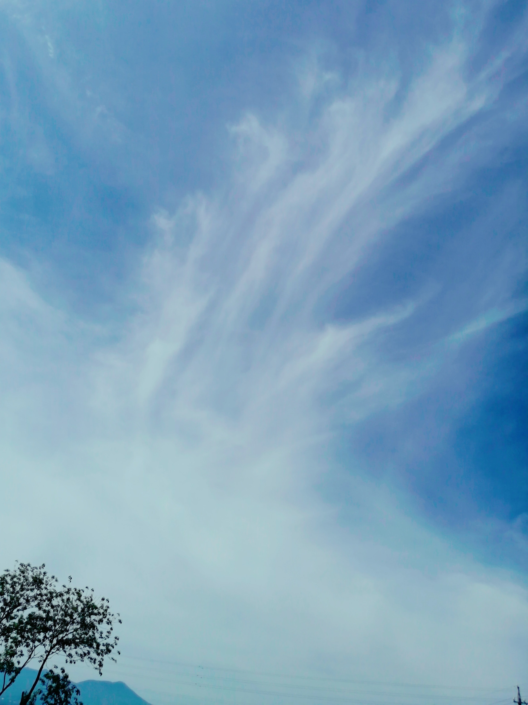 ふと･･･見上げたら！