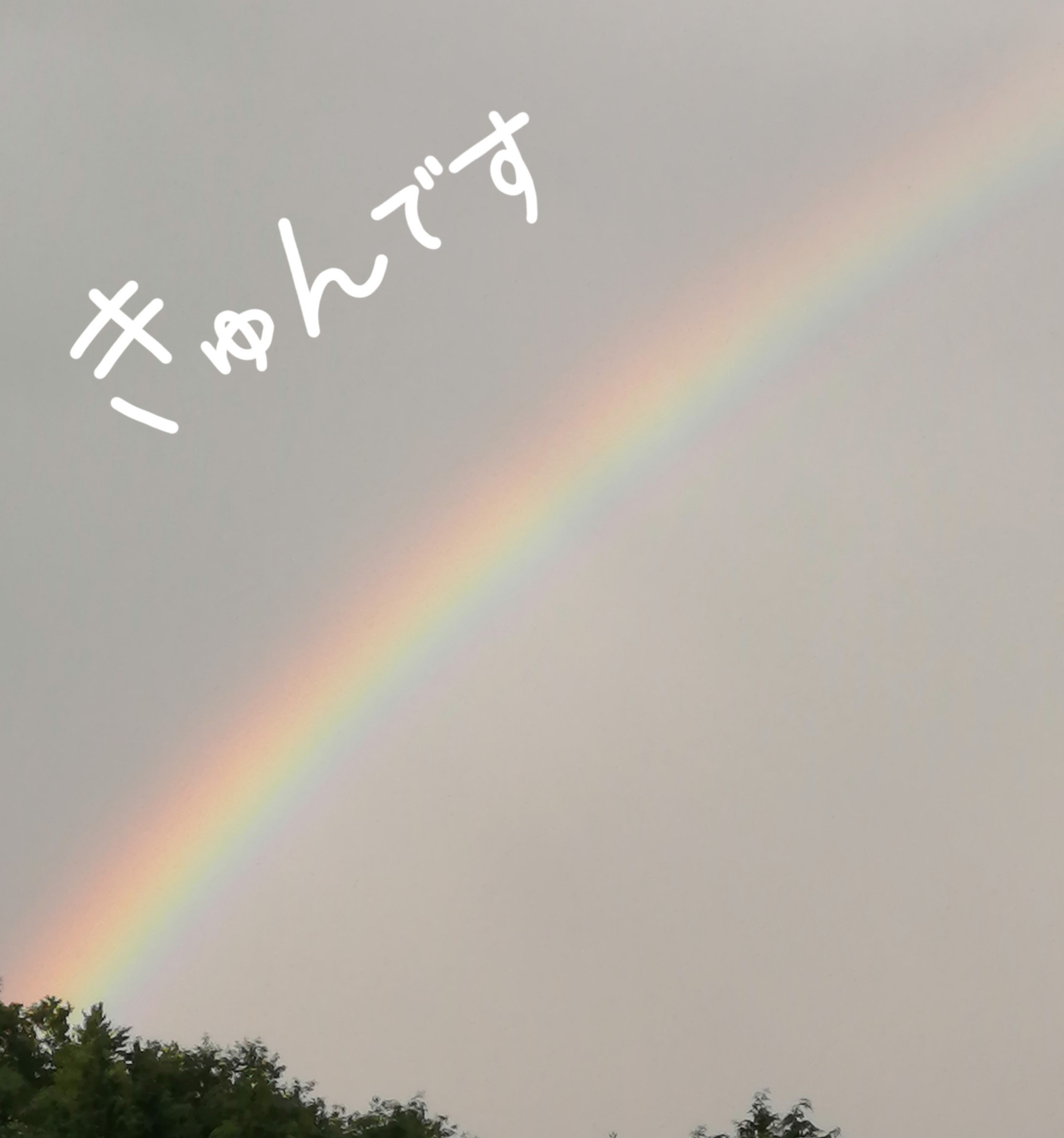 虹が･･･