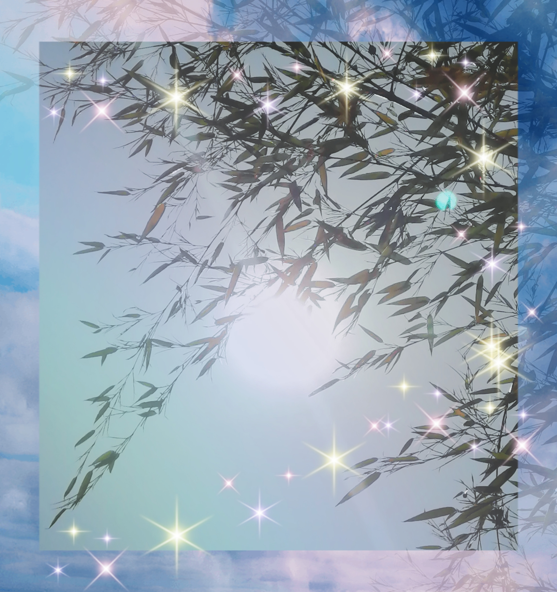 照らされる〜ww