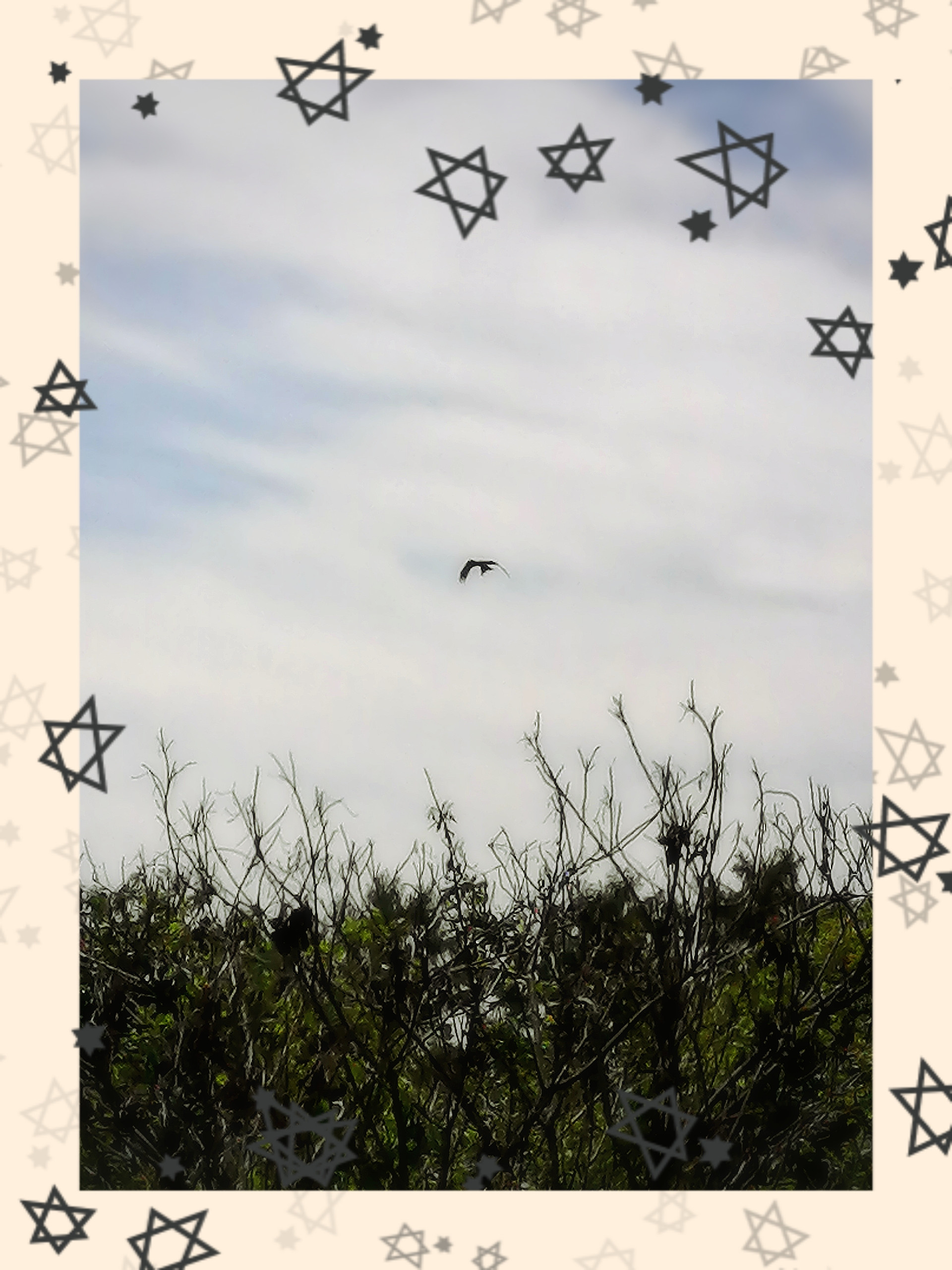 アチャ〜(＞_＜)