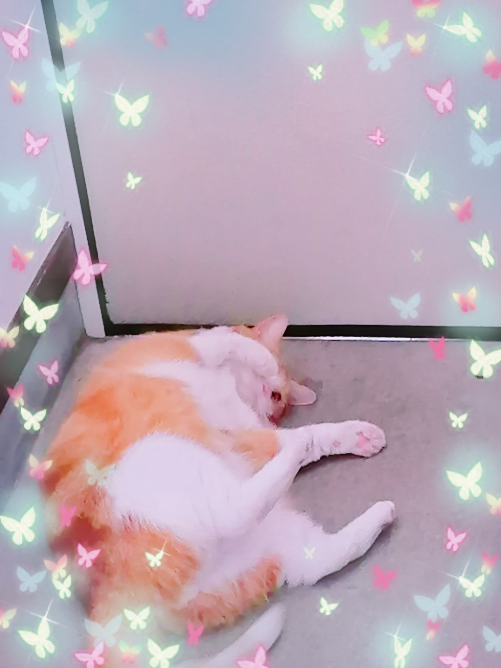 ヽ(*´∀｀)ノｱﾊﾊﾊPart２