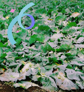 ✿楓✿ちゃんの2021/7/6 (火) 10:39のブログ