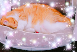 ✿楓✿ちゃんの2021/6/23 (水) 17:15のブログ