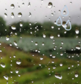 ✿楓✿ちゃんの2021/6/19 (土) 09:41のブログ