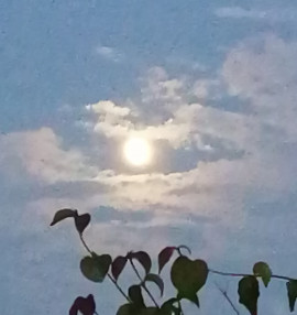 ✿楓✿ちゃんの2021/7/22 (木) 19:59のブログ