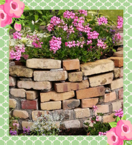 ✿楓✿ちゃんの2021/6/18 (金) 18:37のブログ