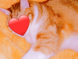 ✿楓✿ちゃんの2021/5/27 (木) 01:51のブログ