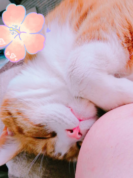 ✿楓✿ちゃんの2021/7/14 (水) 13:08のブログ