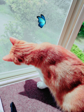 ✿楓✿ちゃんの2021/5/26 (水) 13:56のブログ