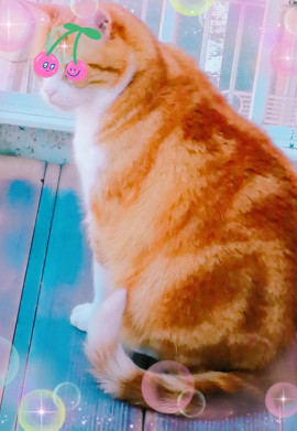 ✿楓✿ちゃんの2021/5/30 (日) 10:33のブログ