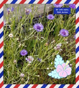 ✿楓✿ちゃんの2021/7/11 (日) 12:39のブログ