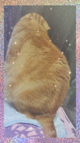 ✿楓✿ちゃんの2021/5/29 (土) 23:10のブログ