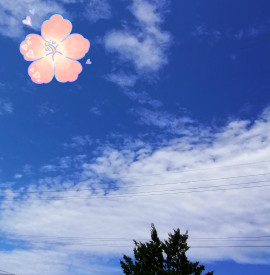 ✿楓✿ちゃんの2021/7/16 (金) 10:09のブログ