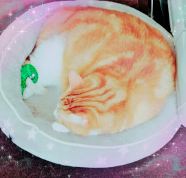 ✿楓✿ちゃんの2021/5/29 (土) 13:15のブログ