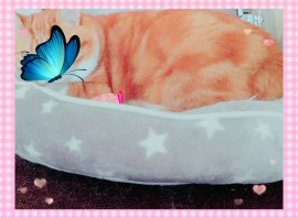 ✿楓✿ちゃんの2021/5/27 (木) 16:04のブログ