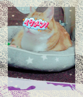 ✿楓✿ちゃんの2021/5/29 (土) 00:57のブログ