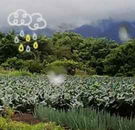 ✿楓✿ちゃんの2021/6/29 (火) 09:49のブログ