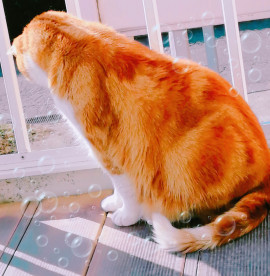 ✿楓✿ちゃんの2021/6/9 (水) 16:29のブログ