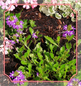 おはようございます??.°