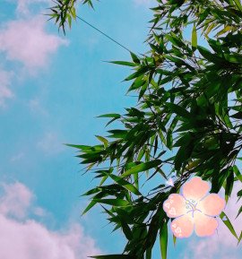 ✿楓✿ちゃんの2021/7/17 (土) 11:20のブログ