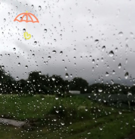 ✿楓✿ちゃんの2021/7/2 (金) 10:30のブログ