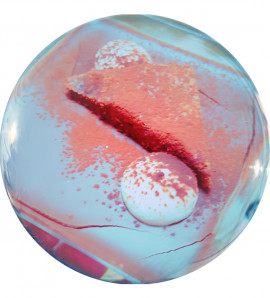 ✿楓✿ちゃんの2021/5/13 (木) 23:32のブログ