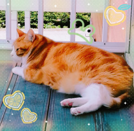 ✿楓✿ちゃんの2021/7/3 (土) 10:21のブログ