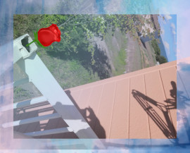 ✿楓✿ちゃんの2021/5/30 (日) 19:02のブログ