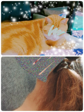 何かすみません…