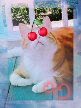 あ…やっちゃった☆☆☆☆☆