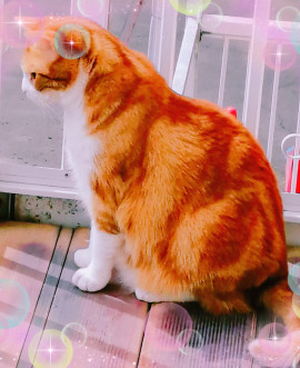 ✿楓✿ちゃんの2021/5/28 (金) 15:02のブログ