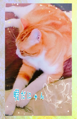 ✿楓✿ちゃんの2021/6/1 (火) 11:17のブログ