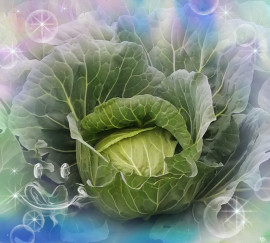 ✿楓✿ちゃんの2021/6/21 (月) 16:52のブログ