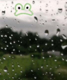 ✿楓✿ちゃんの2021/7/8 (木) 17:46のブログ