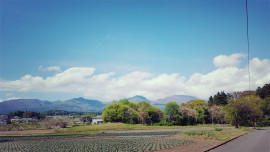 ✿楓✿ちゃんの2021/5/12 (水) 00:28のブログ