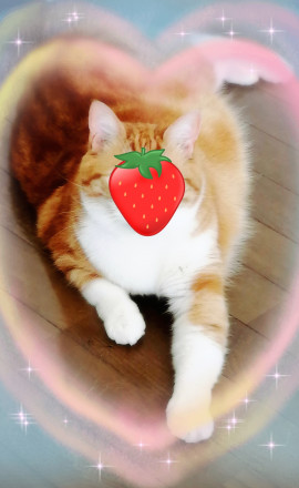 ✿楓✿ちゃんの2021/5/28 (金) 23:49のブログ