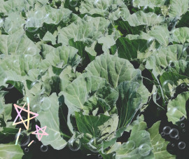 イキイキしてる！