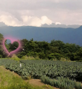 ✿楓✿ちゃんの2021/6/25 (金) 16:35のブログ