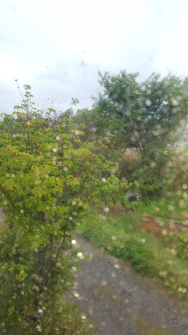 雨だぁ〜??*????*