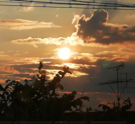 ✿楓✿ちゃんの2021/7/25 (日) 19:46のブログ