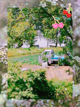 ✿楓✿ちゃんの2021/5/29 (土) 10:21のブログ