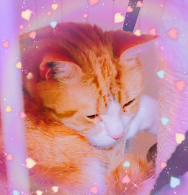 ウムウム（笑）