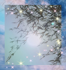 照らされる〜ww