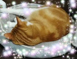 ✿楓✿ちゃんの2021/6/2 (水) 22:58のブログ