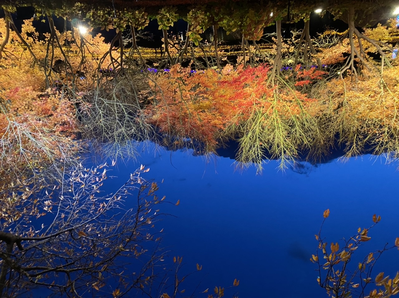 ＧＷいかがお過ごしですか？？？